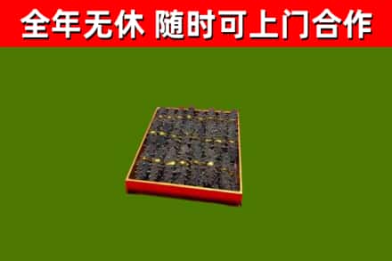 蒸湘区回收海参